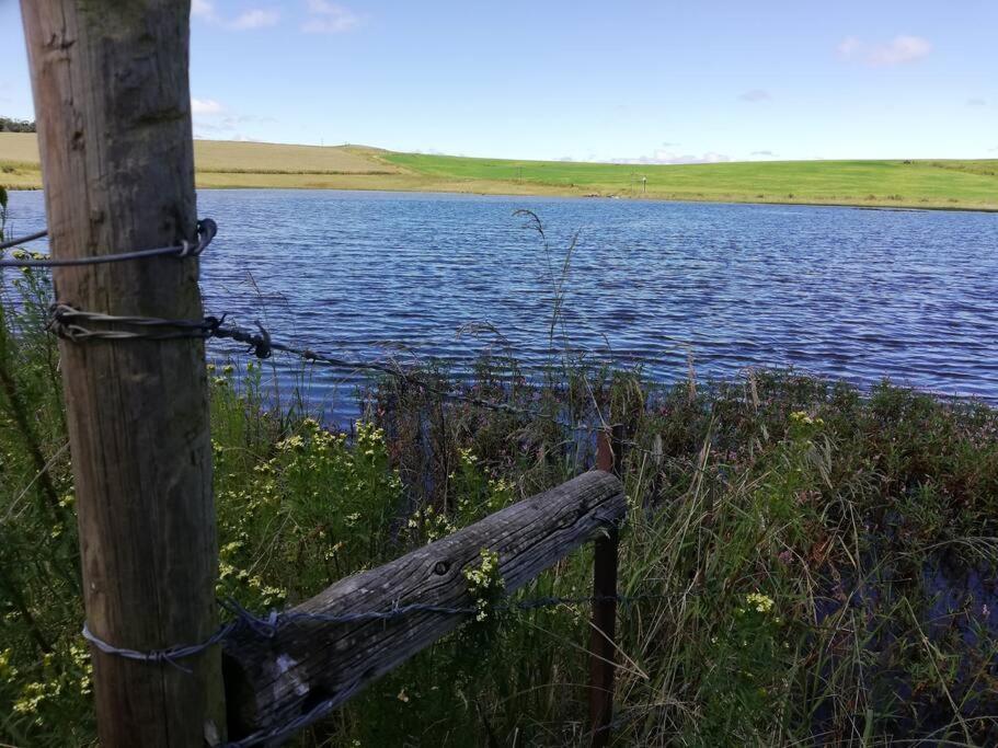 Sheeprun Farmstay Maclear المظهر الخارجي الصورة