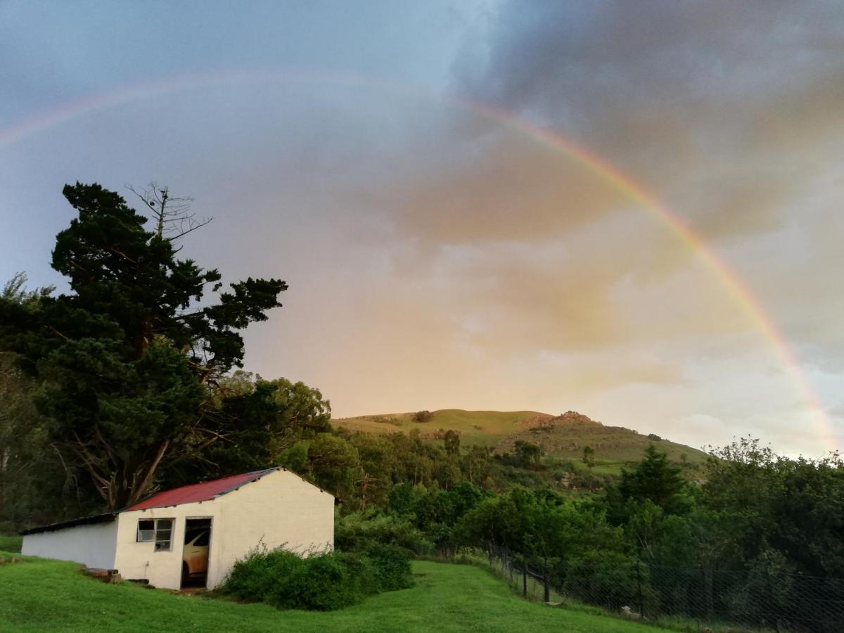 Sheeprun Farmstay Maclear المظهر الخارجي الصورة