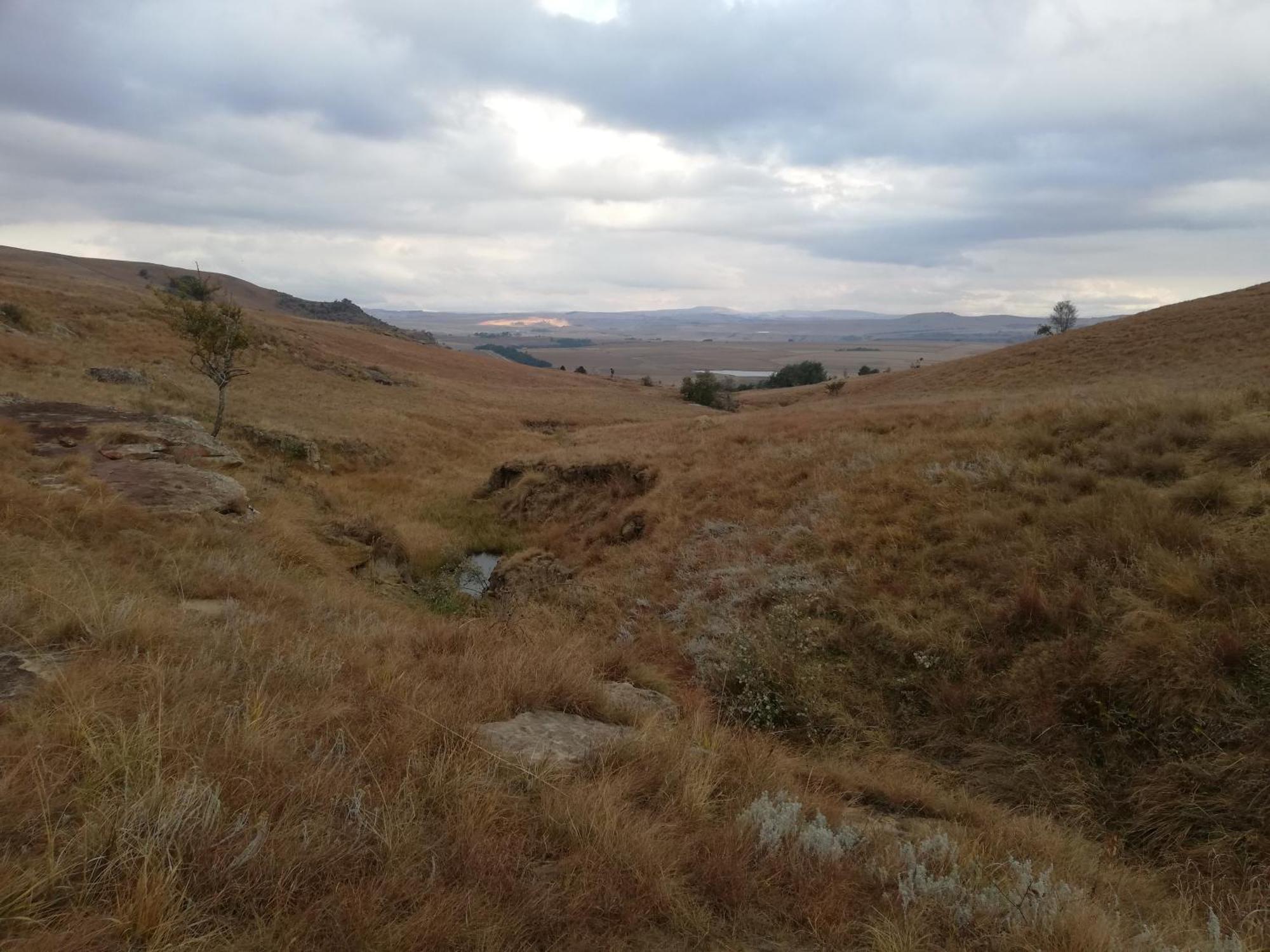 Sheeprun Farmstay Maclear المظهر الخارجي الصورة
