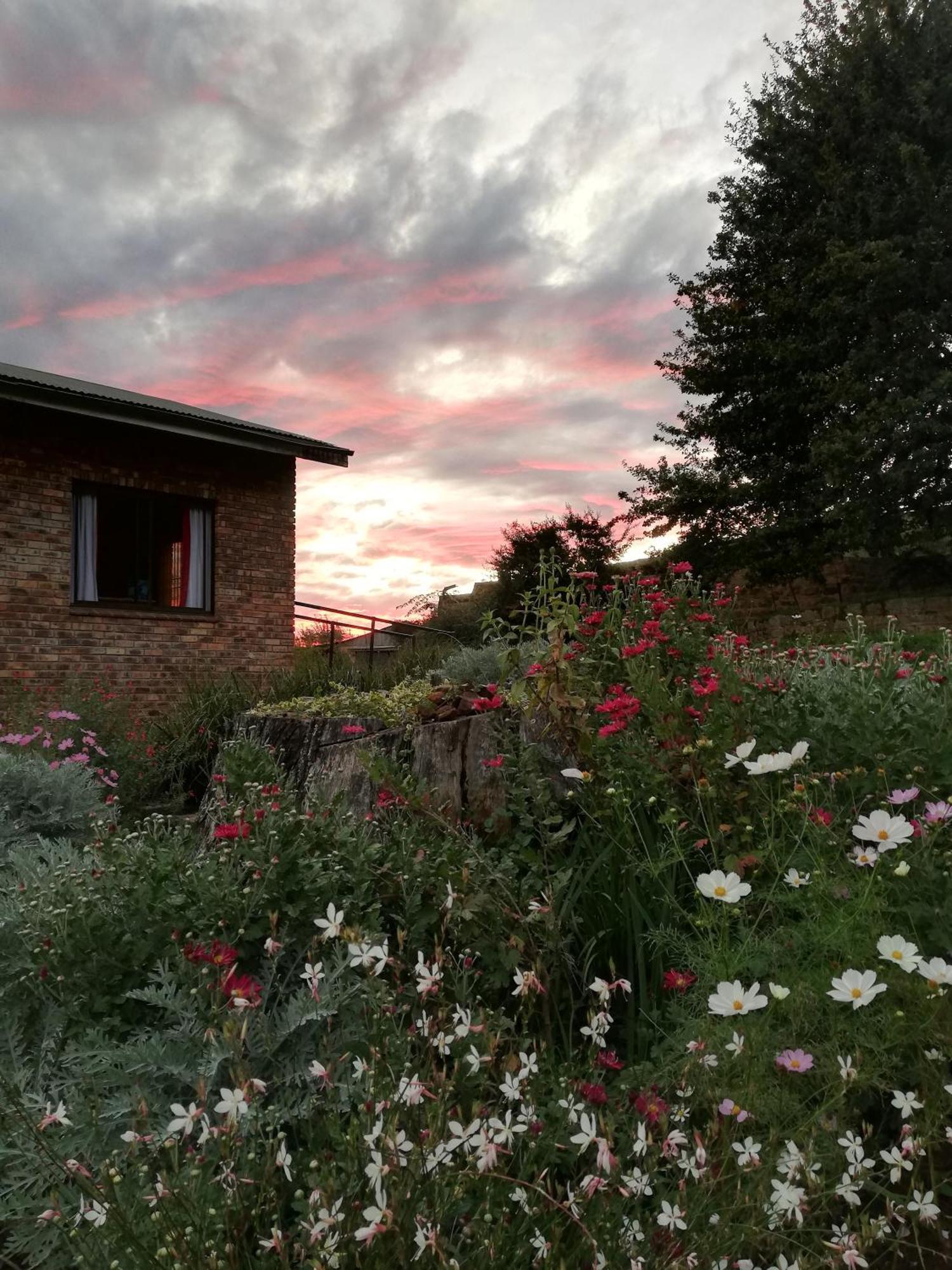 Sheeprun Farmstay Maclear المظهر الخارجي الصورة